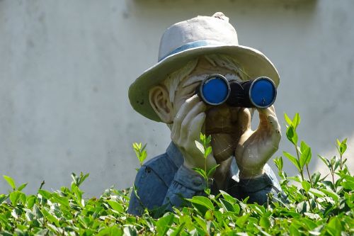 garden hedge deco