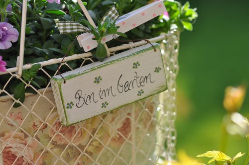 garden basket summer