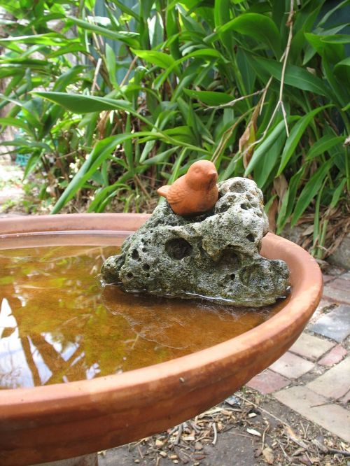 garden ornamental birdbath