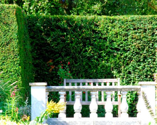 garden green bench