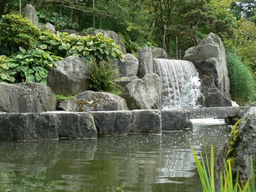 garden japanese water