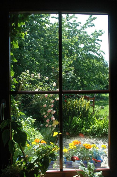 garden flowers spring