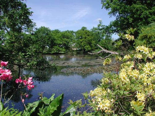 garden summer nature