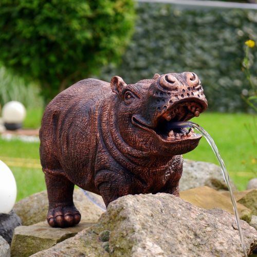 garden water hippo