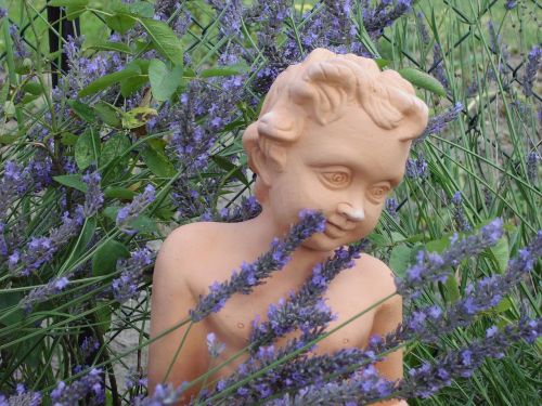 garden lavender cherub