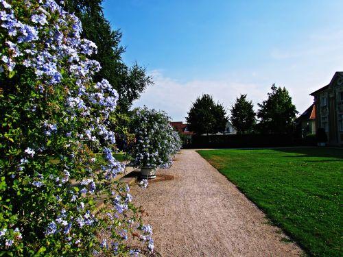 garden flowers nature