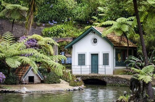 garden cottage pond