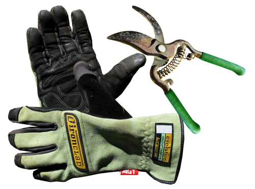 garden gloves tool