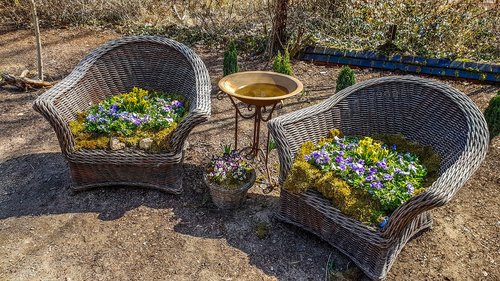 garden  plant  nature