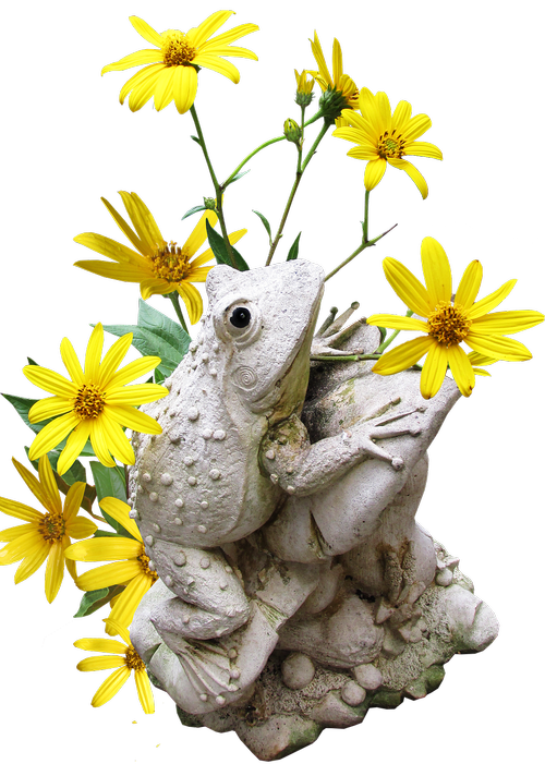 garden  statue  frog