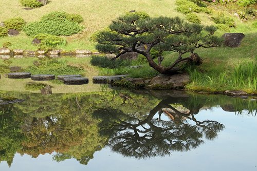 garden  japanese  reflection