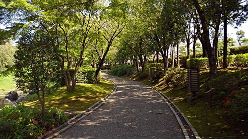 garden  plants  park