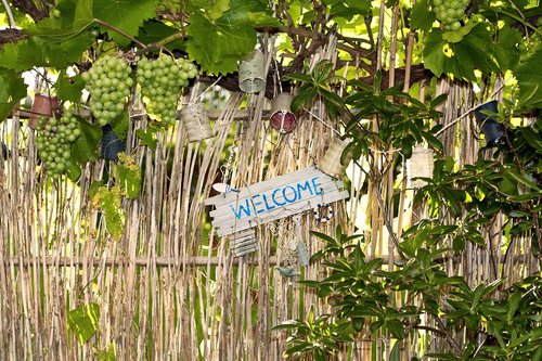 garden  welcome  grapes