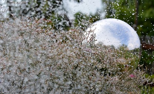 garden  glass ball  mirroring