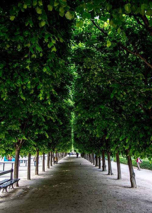 garden  royal palace  trees