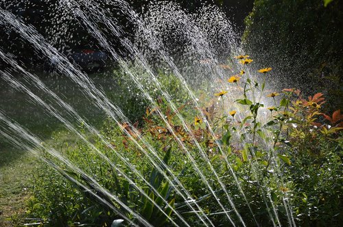 garden  irrigation  water