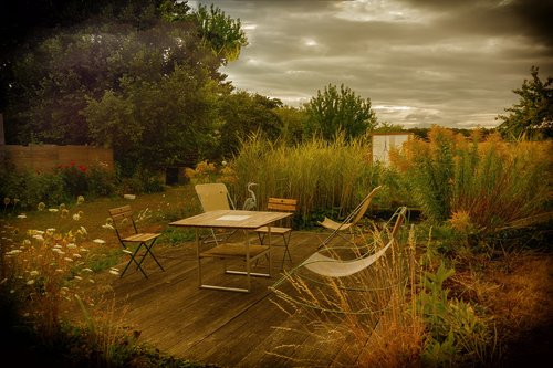 garden  field  calm