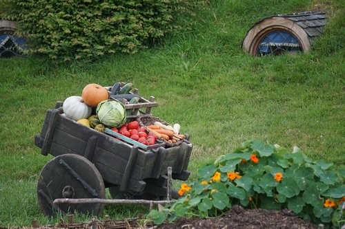 garden  new zealand  the hobbit