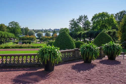 garden  landscape  nature