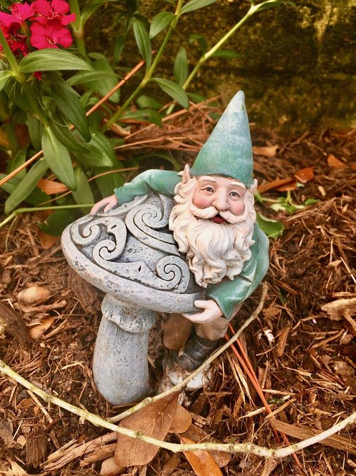 garden  flowers  gnome