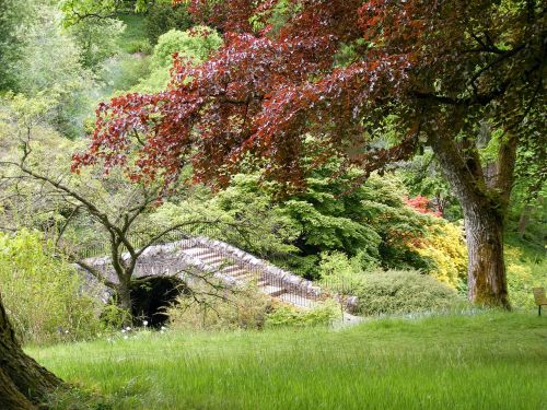 garden vegetation bridge
