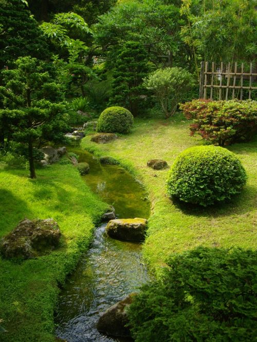 garden green creek