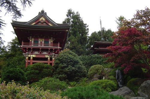 garden china vegetation