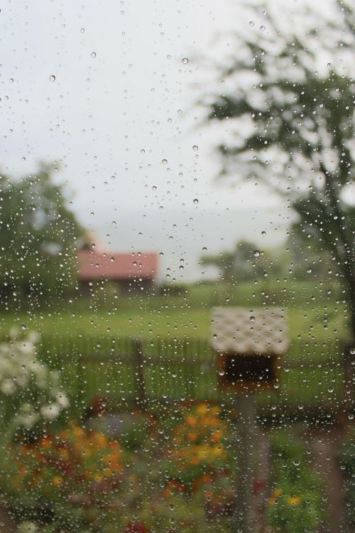 garden rain weather