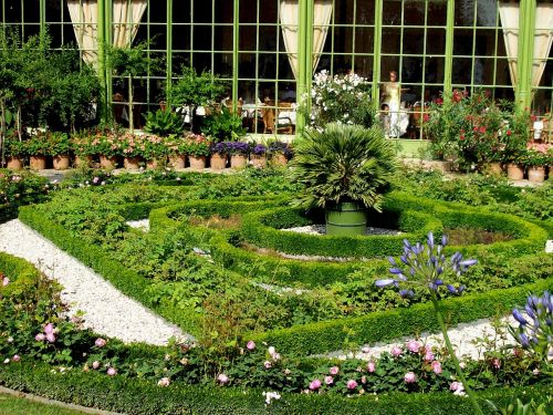 garden herbs baroque