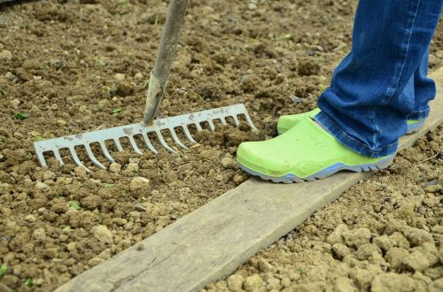 garden gardening bed