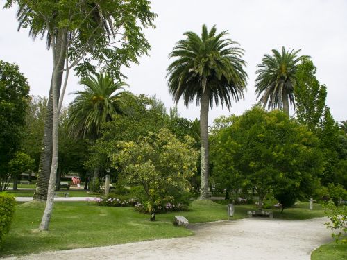 garden park the toja island