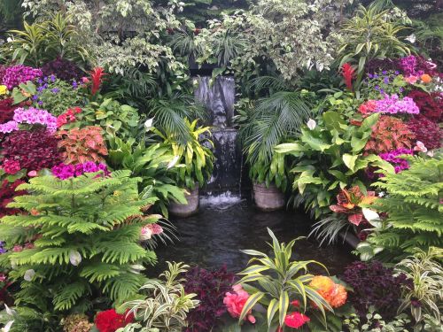 garden water landscape flowers