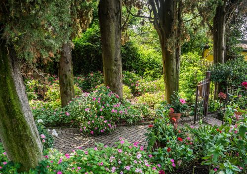 garden flowers forest