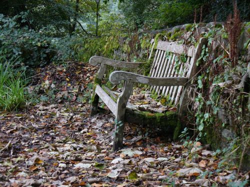 garden bench bench autumn