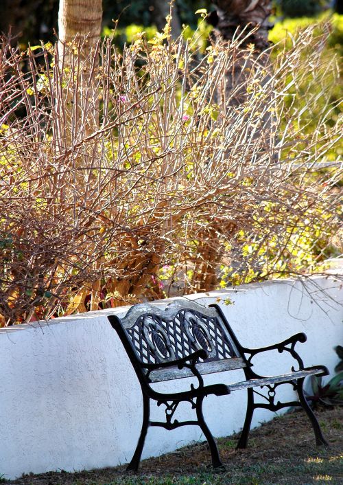 Garden Bench Autumn