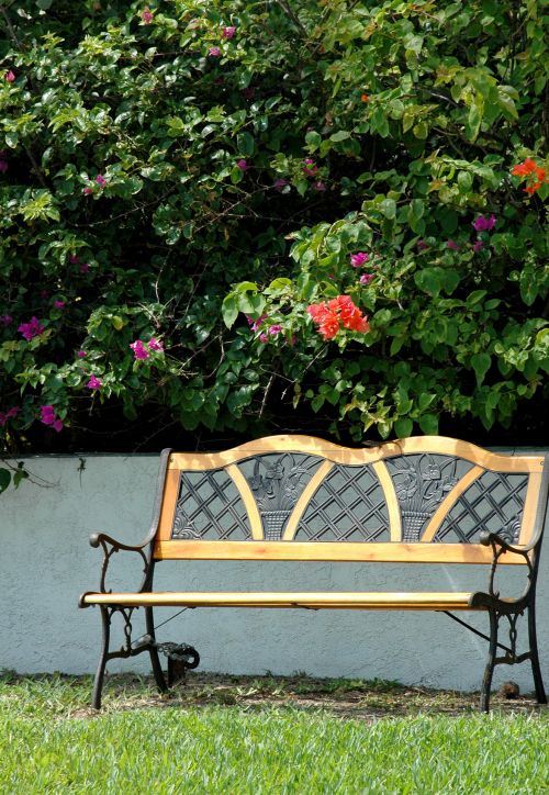 Garden Bench Flowers