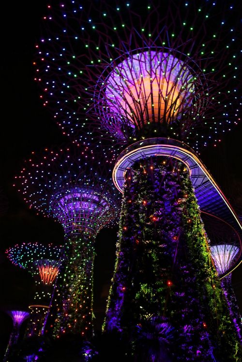 garden by the bay singapore musical light