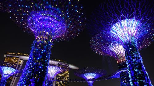 garden by the bay singapore night