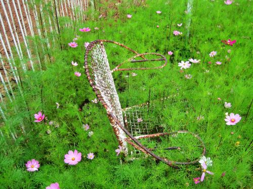 Garden Chair In Cosmos