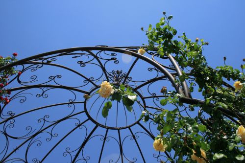 Garden Feature With Rose