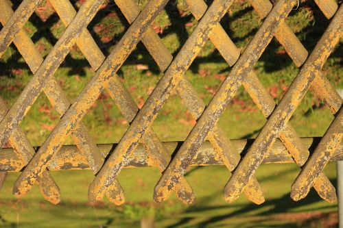 garden fence sun game mossy