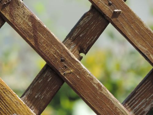 garden fence wooden slats wood