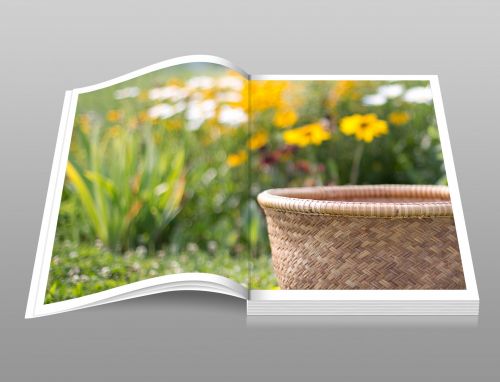Garden Flowers Photo Book