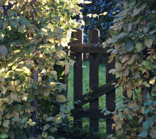 garden gate hedge garden fence