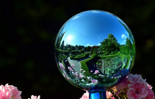 garden globe mirroring garden