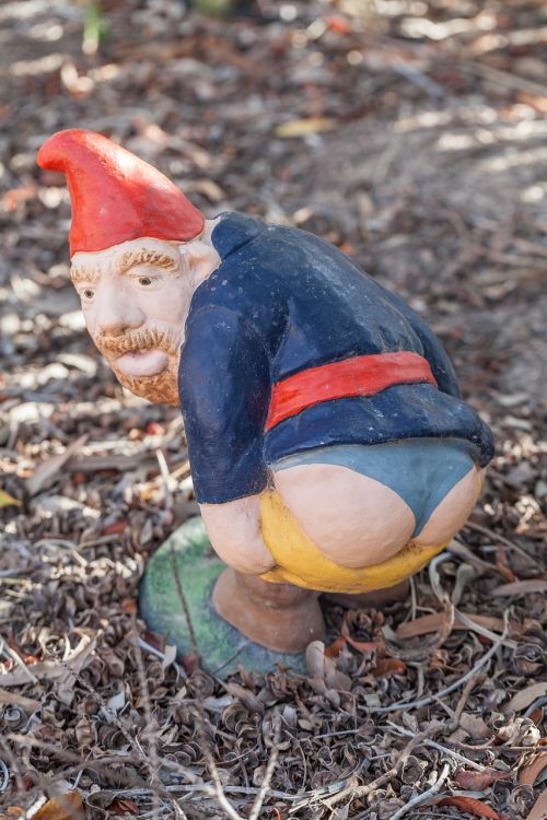 garden gnome garden ornament cheeky gnome