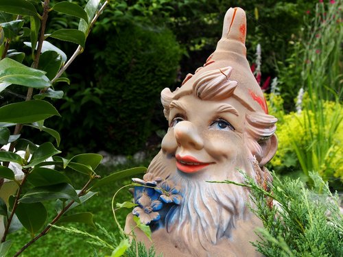 garden gnome  garden  dwarf