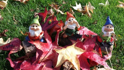 garden gnomes dwarf autumn