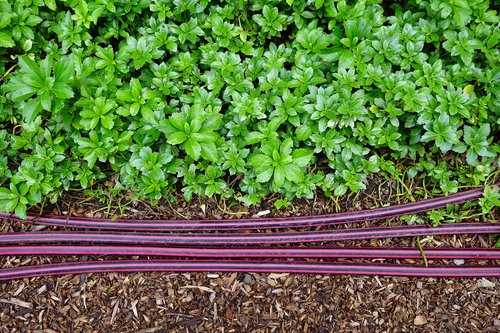 garden hose garden hoses  hose  irrigation
