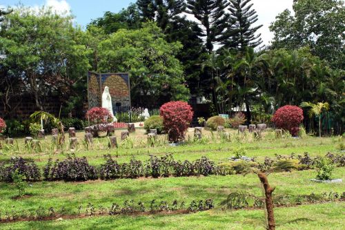 Garden Of Pink Sister Philippines